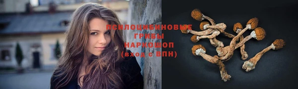 спиды Беломорск