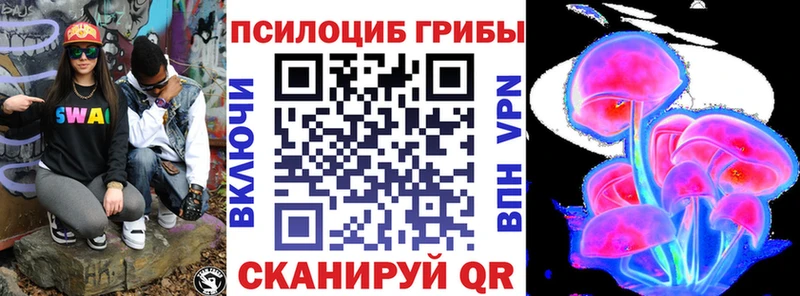 купить цена Тында Галлюциногенные грибы прущие грибы